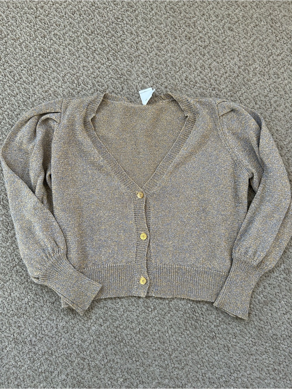 sundays Metallic Beige V-Neck Button Cardigan